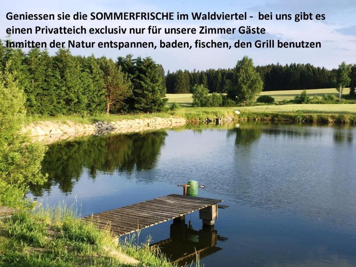 Sommerfrische Waldviertel Kirchberg am Walde Exterior foto